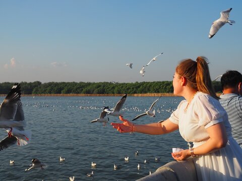 a woman feeding food to seagull at bangpoo thailand