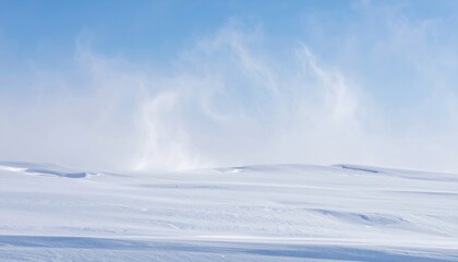 Obraz premium Icy Wind Sweeping Across a Snow Covered White Field Under Pale Blue Sky