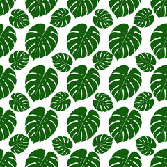 Solid Monstera Leaf Pattern