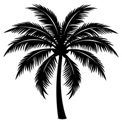  tropical coconut tree silhouette 