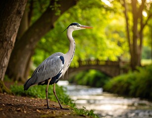 Grey heron by a park stream