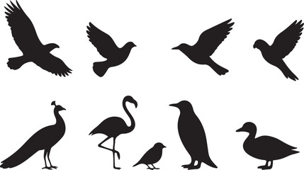 Obraz premium Diverse collection of bird silhouettes in flight and standing majestic creatures representing nature wildlife aviary ornithology and freedom silhouette