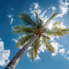 Palm tree under a vibrant blue sky