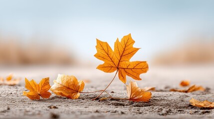 A serene close-up of autumn leaves, showcasing vibrant orange hues against a soft, blurred background, evoking a sense of tranquility.