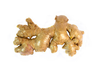 Fresh ginger root (Zingiber officinale) isolated on a white background. This rhizome is popular as a cooking spice and a traditional herbal remedy.
