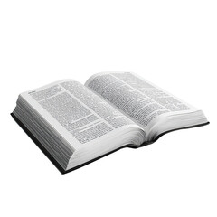 Open book, pages spread (3)