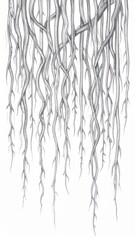 Fototapeta premium Detailed Ink Drawing of Intertwined Hanging Tree Roots Against White Background with Natural Light