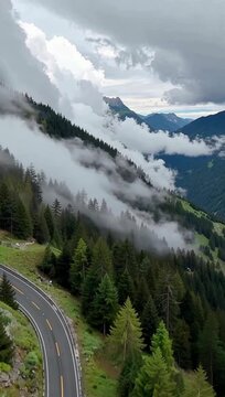 Journey through the misty alpine landscape on a winding mountain road, surrounded by a dense evergreen forest and atmospheric clouds