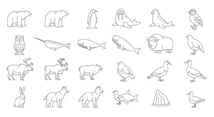 Collection of arctic animal illustrations includes polar bear, penguin, walrus, seal, owl, narwhal, whale, muskox, caribou, wolf, rabbit, and various arctic birds in line art style