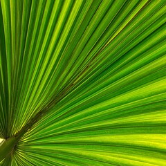 A detailed close-up view of a vibrant green palm leaf, showcasing its intricate vein patterns and bright hues.
