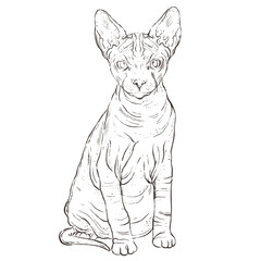 Cat Line Art Clipart Illustration, Black and White Outline Drawing of Cute Cats, Coloring Book Style Digital PNG for DIY Crafts, Stickers and Design