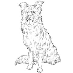 Dog and Cat Line Art Clipart Illustration Set, Black and White Outline Drawings of Cute Pets, Coloring Book Style Digital PNG Elements for Crafts, Stickers and Design