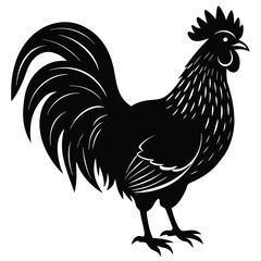 rooster vector silhouette design