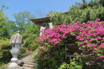 丘陵の上の寺の風景2