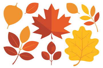 fall foliage vector illustration of diverse autumn leaves in red orange yellow for nature projects