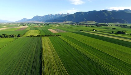 Aerial view of cultivated fields in varying shades of green, stretching towards a mountain range under a clear blue sky