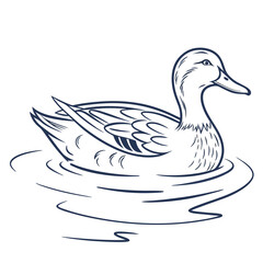 Elegant line art illustration of a mallard duck swimming gracefully on rippling water surface