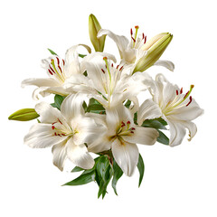 Fototapeta premium White Lily flower bouquet png