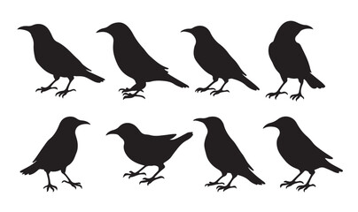 black silhouettes of birds on white background