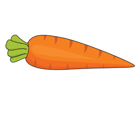 Cute cartoon hand drawn vector carrot clipart.