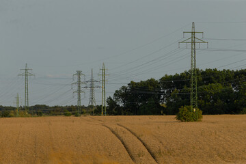 A serene landscape featuring power lines crossing a golden wheat field, under a clear sky. The calm scenery embodies rural tranquility and energy infrastructure.