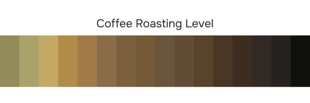 Coffee roasting level palette showing beans from light to dark roast, vector chart for espresso and brewing style