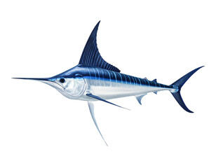 Fototapeta premium Minimalist Swordfish Illustration Top-Down Marine Predator PNG