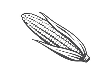 Fototapeta premium Corn Cob Illustration, Isolated Maize Outline, White Background Icon