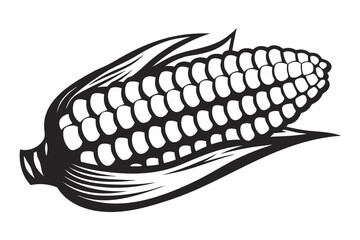 Corn Cob Isolated, Monochrome Illustration, Agricultural Maize Design on White