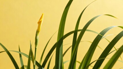Embracing Nature's Vibrant Growth: A Journey Through the Texture of Yellow Leaves and Green Plants in Light-Filled Floral Landscapes