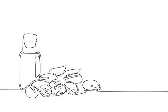 Single continuous line drawing scattered argania seeds and bottles of argania oil. Treatment oil in bottle. Easy to carry and useful. International Day of Argania. One line design vector illustration