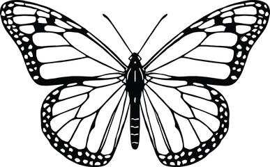 Vector line art, monarch-style butterfly, intricate venation and bordered cells, top view, uniform black stroke, no fill
