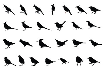 Vector collection of various bird silhouettes, isolated background.