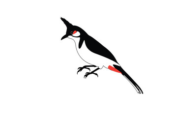 Fototapeta premium Birds-1