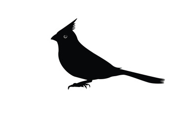 Cute bird silhouette isolated on background