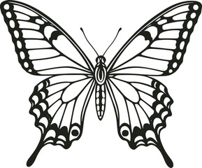 Vector line art, swallowtail with tail extensions, ornate inner wing patterns, centered top view, black stroke only