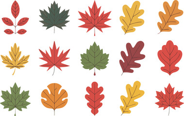 Collection of colorful autumn leaves in various shapes and colors isolated on white background, vector illustration.