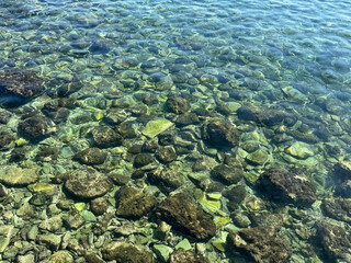 Stones on seabed in transparent sea water. 