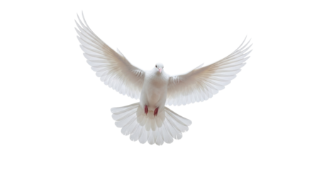 A solitary transparent dove in tranquil flight, wings fully extended, intricate feathers, isolated against a transparent background with copy space, embodying peace and purity concept