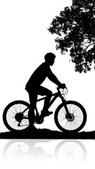 Fototapeta premium Silhouette of cyclist and tree