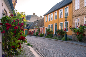 Colorful townhouses bordered with blooming roses in Lund Sweden