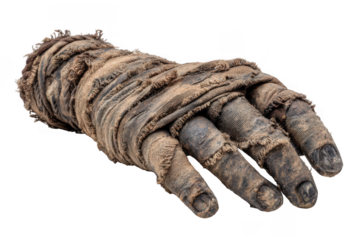 A close-up of a weathered, wrapped hand with fingers exposed, showing aged skin and frayed fabric bindings.