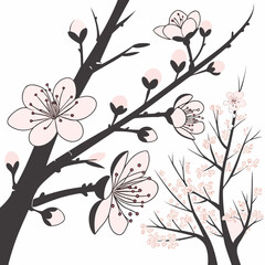 Stylized cherry blossom branches with delicate pink flowers and buds