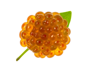 Bright orange snail egg cluster attached to a small green leaf with glossy translucent spheres on isolated background