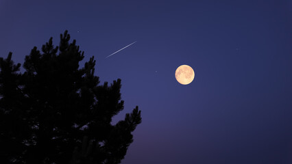 Full Moon with stars, planets and rural countryside tree silhouettes.