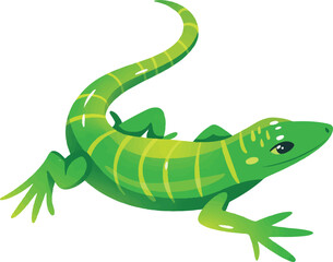 lizard on a branch