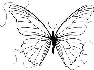 minimal line art of butterfly wings spread open, thin black stroke, white background, light and airy