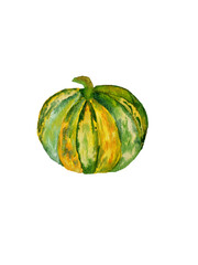 pumpkin isolated on white background