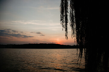 A stunning sunset over a calm lake or large body of water, framed by the dark, dramatic silhouette of weeping willow branches hanging down, creating a serene and moody evening scene.