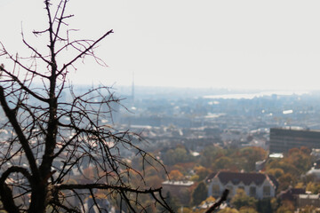 A blurry, atmospheric shot of a distant city skyline seen from a high viewpoint, with a bare tree branch in the foreground. The image has a soft, hazy feel, suggesting themes of urban landscapes
